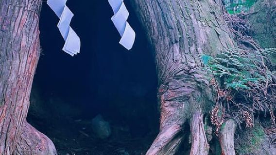 Tokyo: Togakushi Sacred Trail Day Tour with Shinkansen