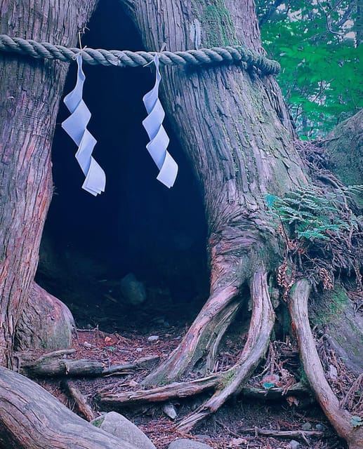 โตเกียว: ทัวร์วันเส้นทางศักดิ์สิทธิ์โทงากูชิพร้อมชินคันเซ็น