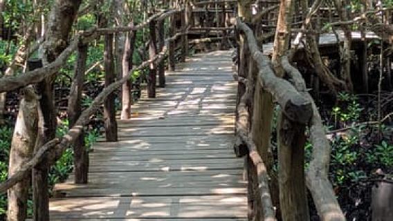 Zanzibar: foresta di Jozani, grotta di Salaam e ristorante The Rock