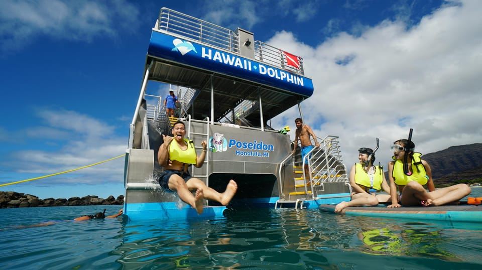 Oahu: Wild Dolphins Swim Turtle Snorkel Tour & Waterslide