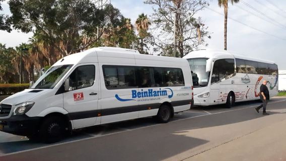 From Tel Aviv: Magdala, Mount of Beatitudes, and Cana Tour