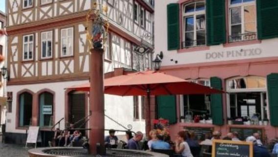 Mainz: guided evening tour of the Rhine riverbank/old town in German and English