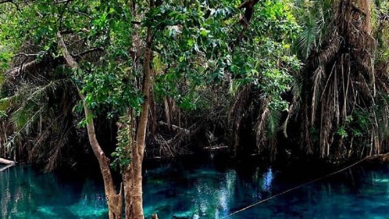 Affordable Day Trip Tour to Chemka Hot Springs from Moshi