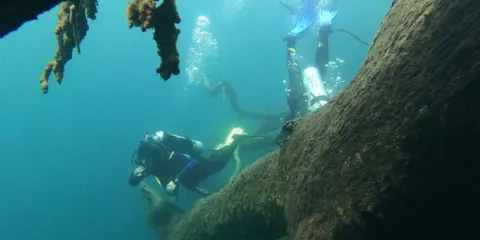 巴里洛切縣:Lago Moreno 水肺潛水體驗