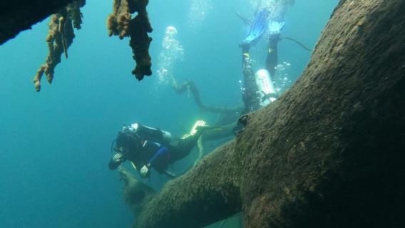 Bariloche: Diving baptism in Moreno Lake