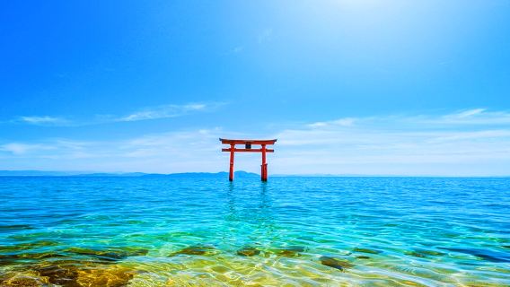 Trip to Shiga, Japan: Visit MIHO MUSEUM and Kyu-Chikurin-in, go to Shirahige Shrine, and enjoy Lake Biwa views