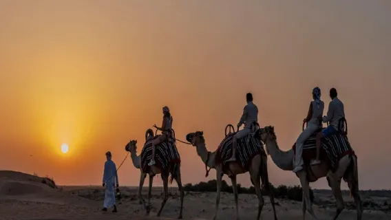 Excursión nocturna por el desierto de Abu Dabi en Dubái (con cena de barbacoa) 4513