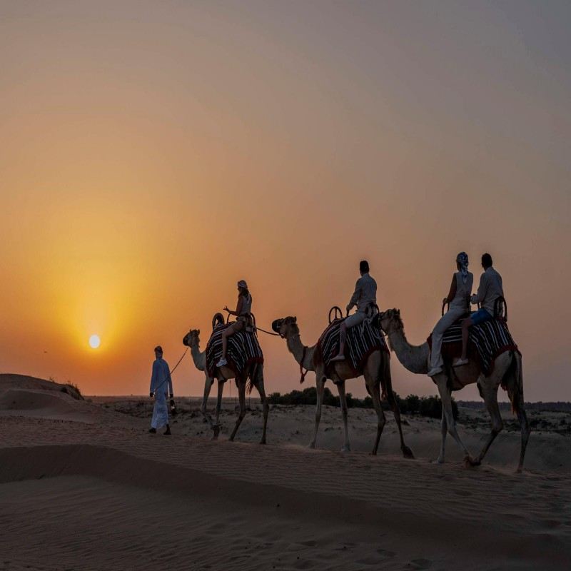 Excursion nocturne dans le désert de Dubaï à Abu Dhabi (avec dîner barbecue) 4513