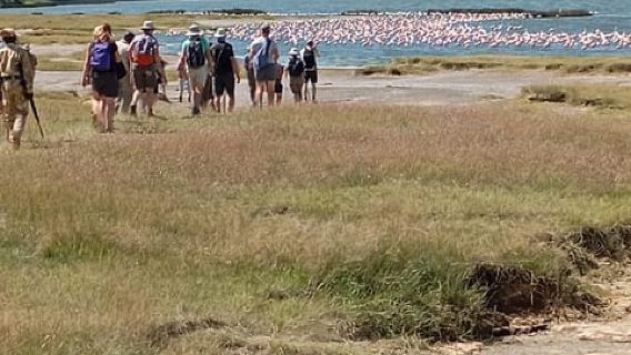 Gita di un giorno al lago Elementaita e al lago Naivasha da Nairobi