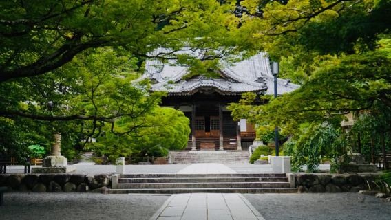 日本東京伊豆一日遊【9人精品小團接送可選|中文服務】