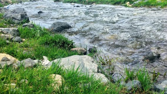 1-day tour to Nanshan ranch [Xibaiyang valley scenic area] (from Urumqi)