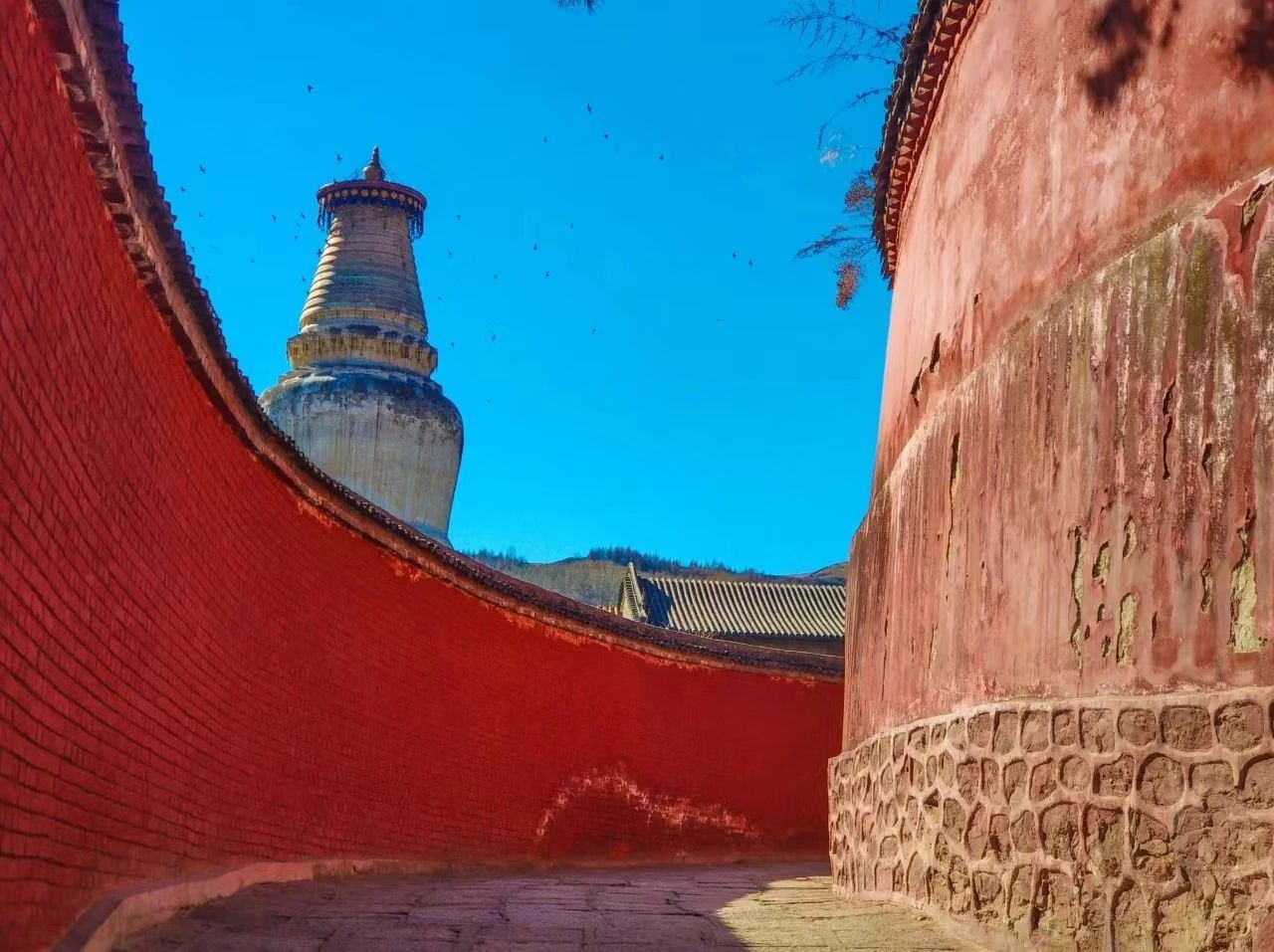 五台山人員導覽服務（五爺廟-殊像寺-文殊寺）專業私享