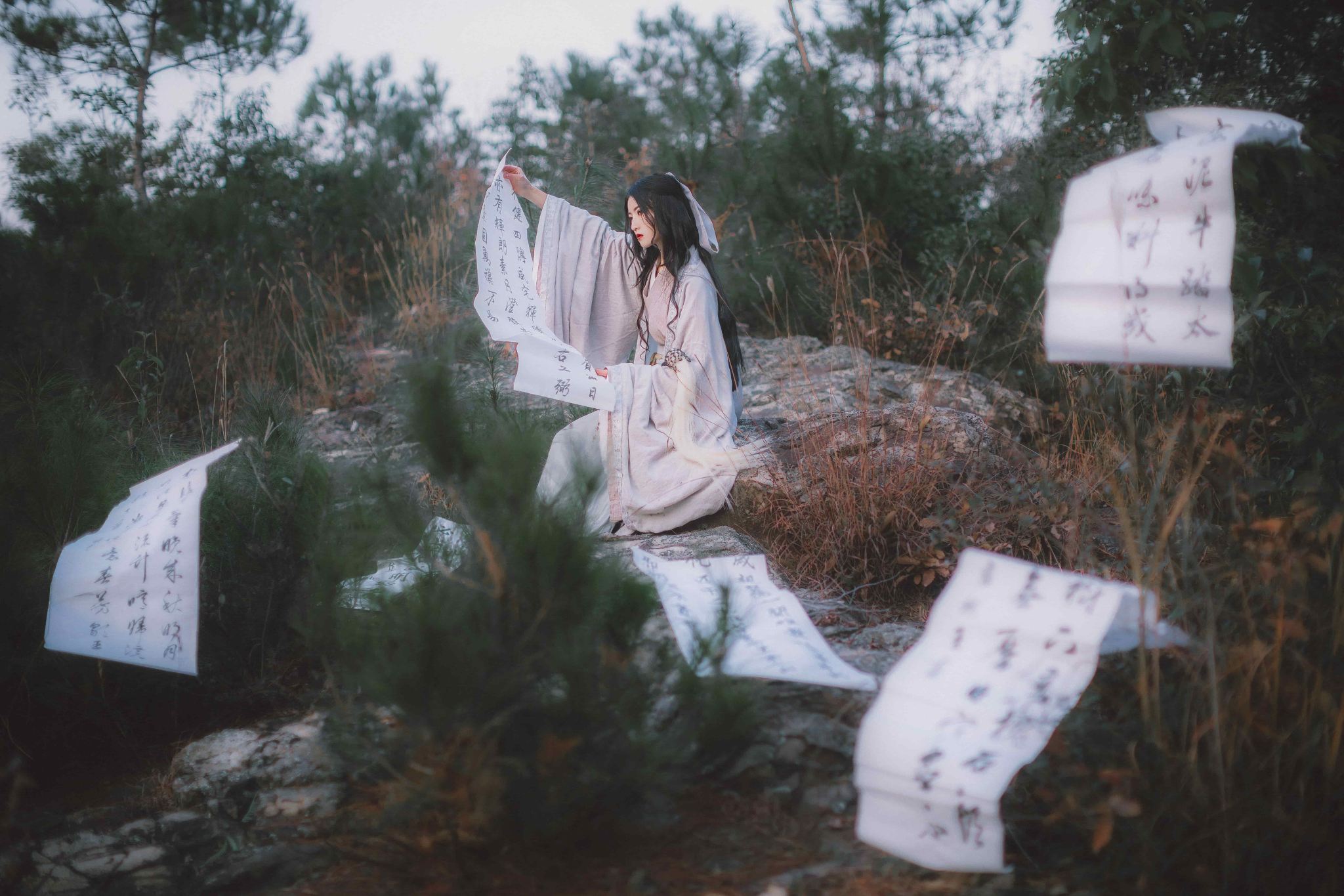 Darlag travel photo shoot[Gesaer Lake/Tsogan Lake Plateau Lakes/Chalang Monastery aerial photography and follow-up shooting with multilingual translation local photographer]