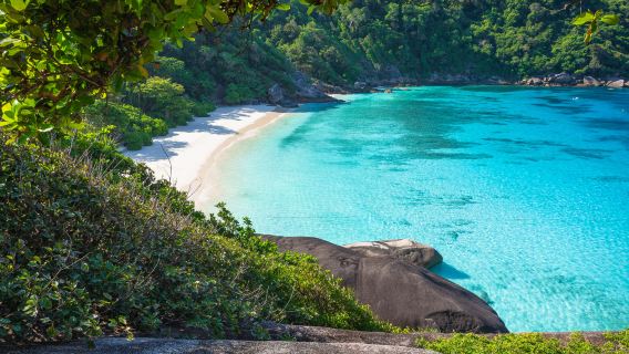 Gemütlicher eintägiger Schnorchelausflug zu den Similan-Inseln mit Speedboot oder zweistöckigem Speedkatamaran.