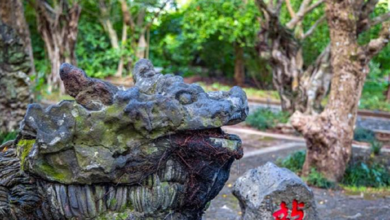 Haikou: Volcanic Crater Park and Yongqing Temple Tour