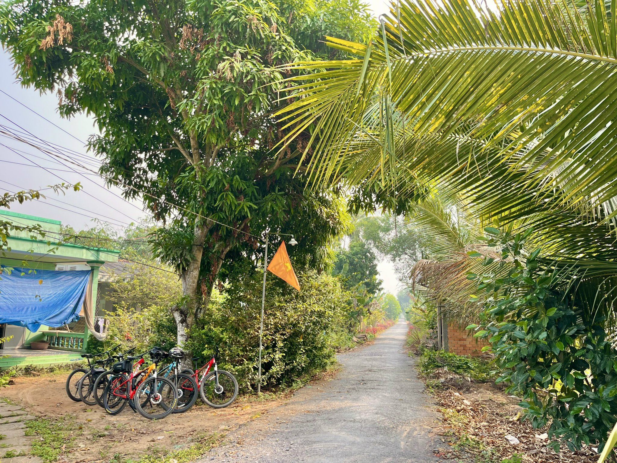Cycling trip in the countryside area of Mekong Delta -25 km in Vinh Kim Village