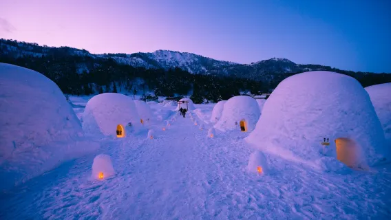 Excursion d'une journée dans les igloos de Nagano Iiyama en hiver|Départ de Tokyo