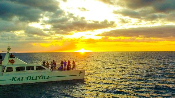 Oahu: Crucero al atardecer con avistamiento de delfines guiado + snorkel + buffet