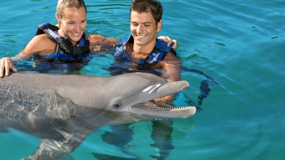 Delphinus Xel-Há: Ingresso Fast Track + Transfer do Hotel + Nado com Golfinhos
