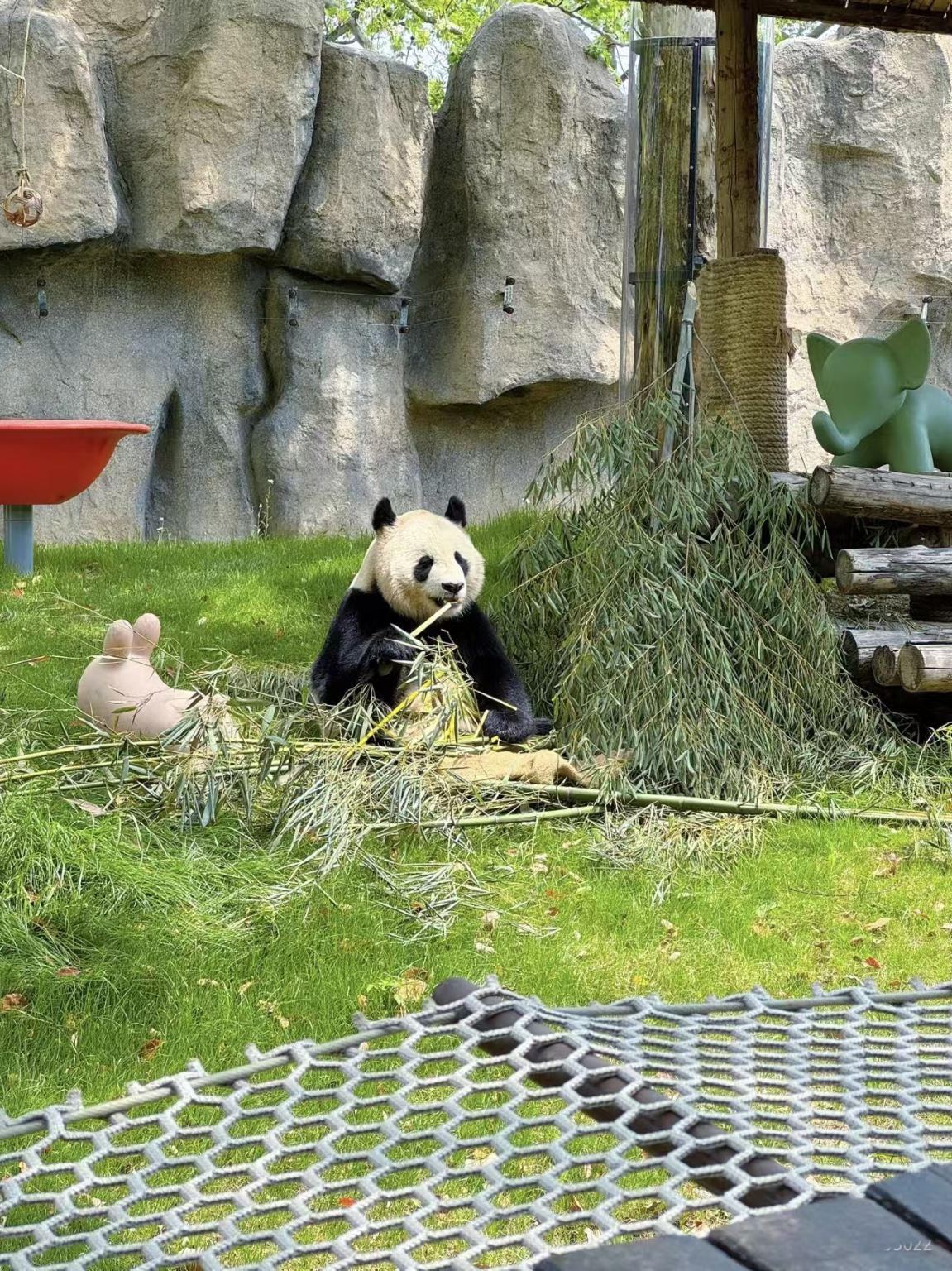 Дневной тур по Шанхаю: набережная Вайтань+пешеходная Нанкинская улица+Шанхайский зоопарк+Синьтяньди