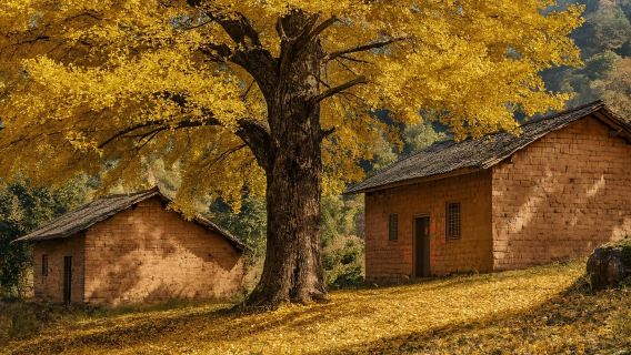 Odisea dorada: Un día en el paraíso de Guilin