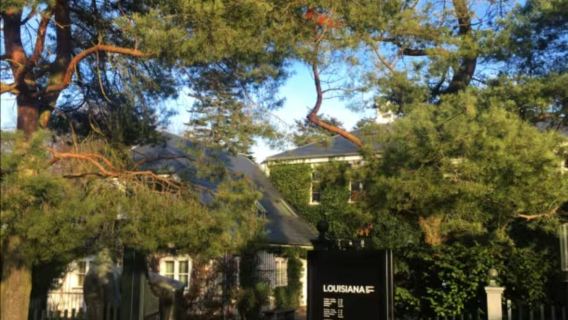 Copenhagen day tour to Louisiana Museum of Modern Art + Helsingor town