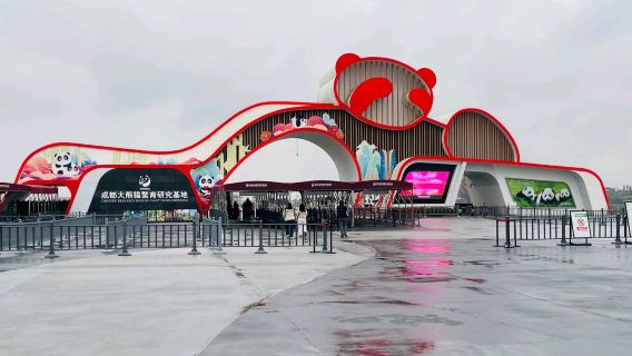 熊貓基地+成都博物館+人民公園+鶴鳴茶社+寬窄巷子包車一日遊