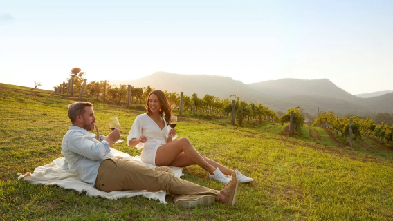 Eendaagse tour wijnproeverij in de wijngaarden van Hunter Valley in Sydney [inclusief lunch | bezoek aan 3 grote wijngaarden | kleine groep met Engelssprekende gids van hoge kwaliteit]