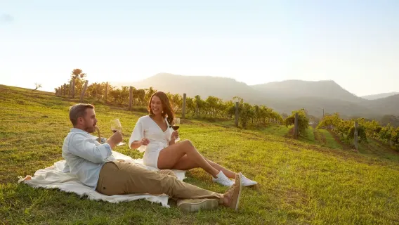 Passeio de um dia para degustação de vinhos no Vale dos Caçadores em Sydney [Inclui almoço | Visita a 3 vinícolas | Grupo pequeno em inglês de qualidade]