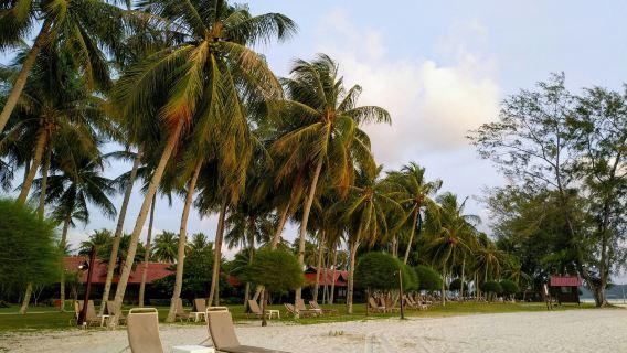 Book After Consultation / Malaysia Langkawi Cenang Beach Seven Wells Waterfall Sky Bridge Black Sand Beach / Airport / Point-to-Point Transfer / Tour Guide / Private Car Service