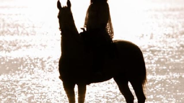 Santorin: Reiten am schwarzen Sandstrand von Eros