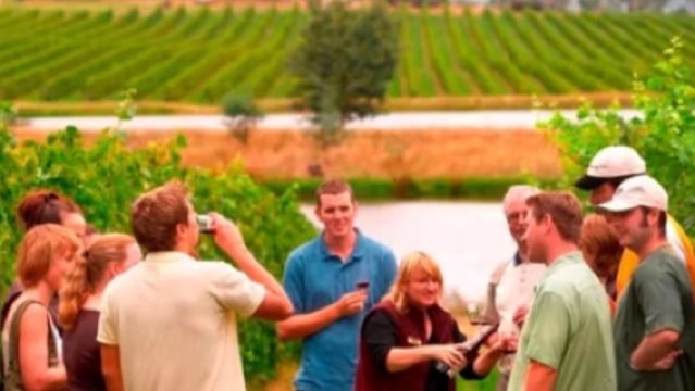 [Включает дегустацию вин] Однодневный тур по винодельням Yarra Valley в Мельбурне, Австралия / настоящий винный праздник