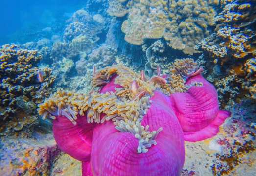 Unusedrooms Travel Tours and Information
