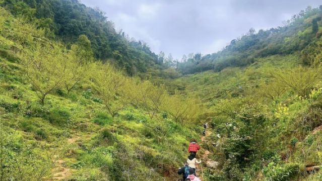 Lawatan Sehari Mendaki dan Meneroka Musim di Lembah Jichan