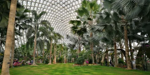 上海動物園-辰山植物園-廣富林文化遺址一日遊(酒店接送)