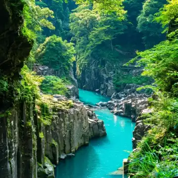 九州桜めぐりワンデーツアー 高千穂峡・高千穂トロッコ・阿蘇火山