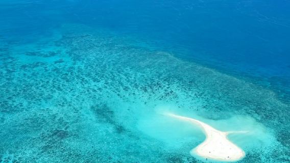 Lawatan Sehari Pilihan Cairns Australia/Sewaan Peribadi - Jelajah Penuh Hutan Hujan, Pulau & Pantai