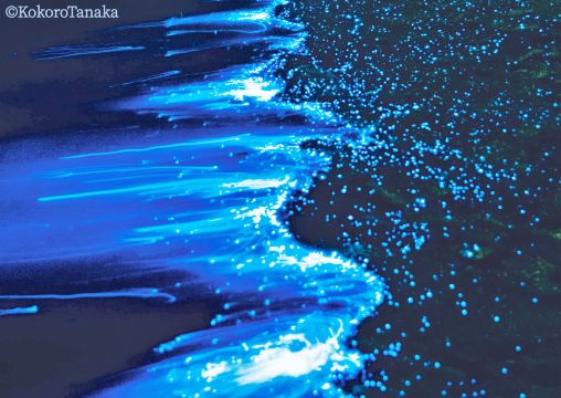 淡路島ロマンチック海の蛍日帰りツアー｜【難波/梅田発】 | Trip.com