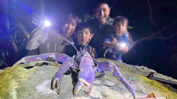 Happy ocean experience store - night adventure tour