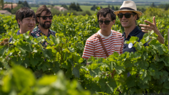 Depart from Marseille: Provence highlights 1-day tour (Pont du Gard admission ticket included)