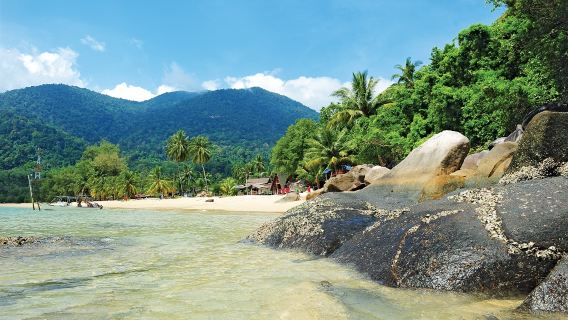 Tioman Island bus one-way/round-trip transfer (Singapore-Mersing pier) same price for all visitors