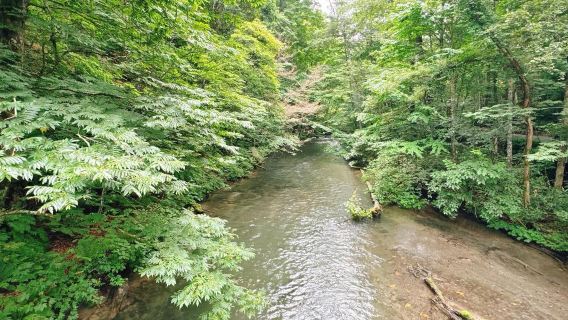 日本青森-奧入瀨溪流-青森縣立美術館-中文私享行