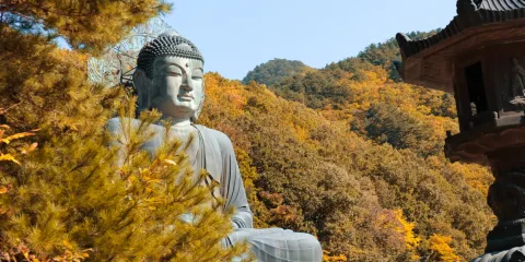 韓國江原道雪嶽山國立公園+洛山寺一日遊【首爾出發 • 中英文導遊】
