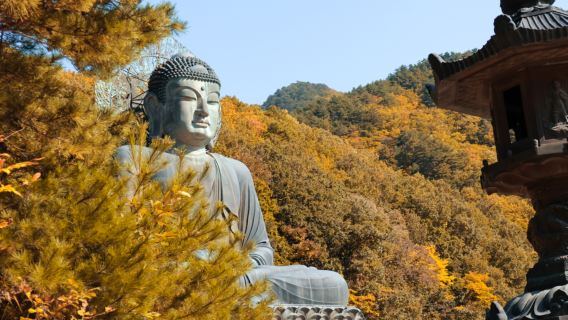 Lawatan sehari ke Taman Negara Seoraksan dan Kuil Naksansa di Gangwon, Korea [Berlepas dari Seoul]