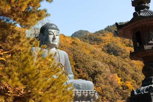 韓國江原道雪嶽山國立公園+洛山寺一日遊【首爾出發 • 中英文導遊】