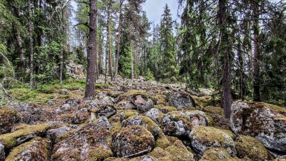 Finland Helsinki + Taman Negara Nuuksio · Mendaki Hutan - Tasik - Sewaan Peribadi - Pilihan Terbaik