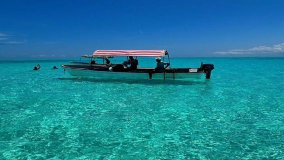 From nungwi: Safari Blue Tour with Snorkeling and Lunch
