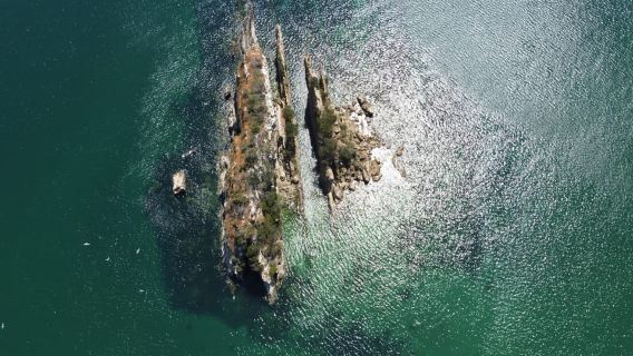 Setúbal: Arrábida Galapos Beach Boat Transfer