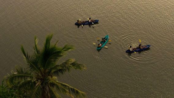 Guided Sundowner Kayak Tour