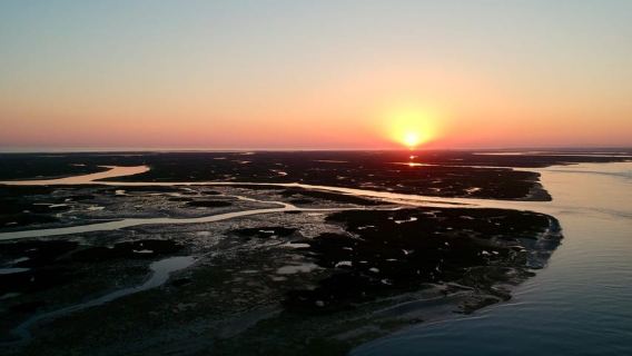 Faro: Ria Formosa Sunset Nature Boat Tour